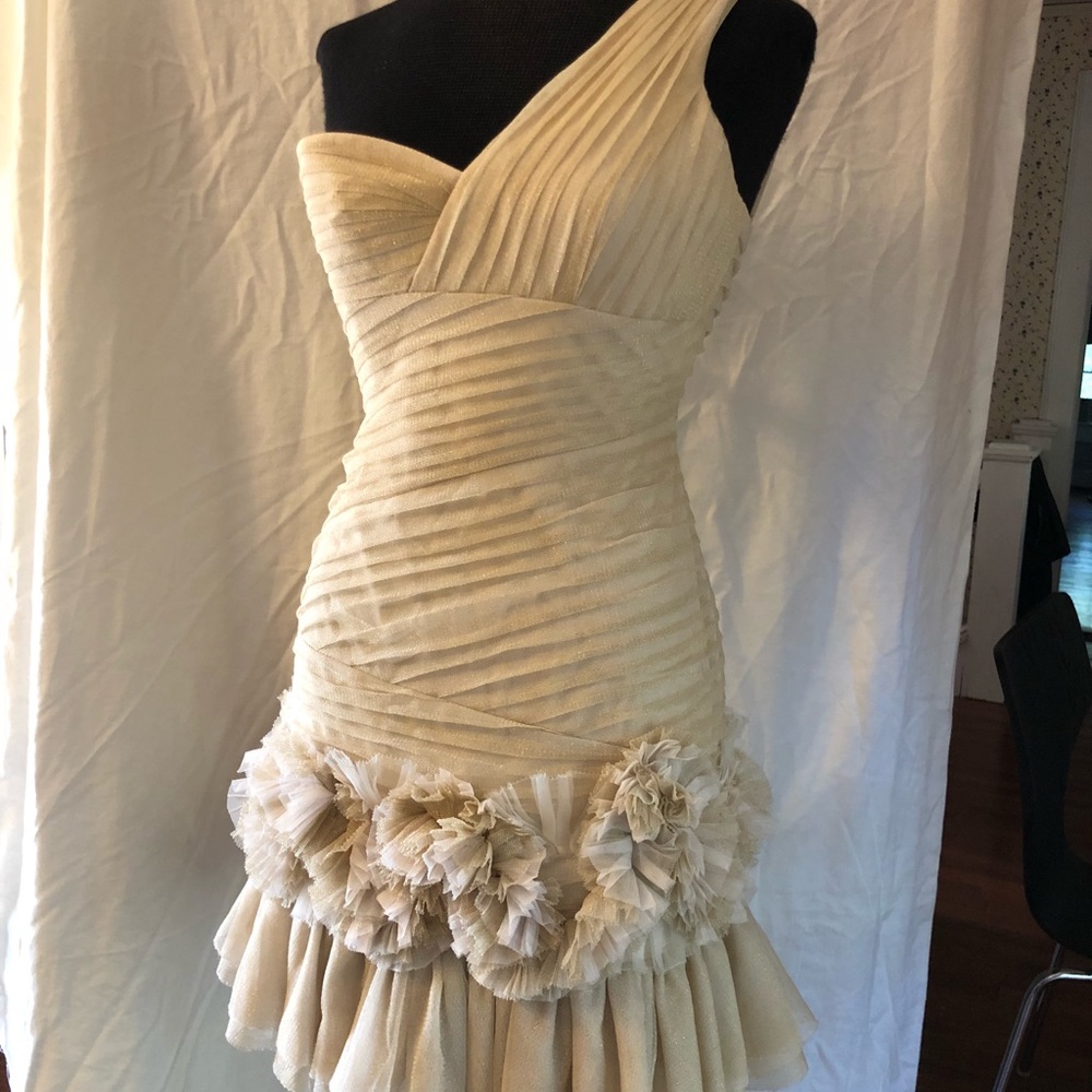 BCBG off shoulder dress.